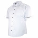 Camisa talla grande PICOLLI-AA8DBMC1