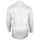 CHEMISE GRANDE TAILLE OXFORD Doublissimo GT-K5DB2