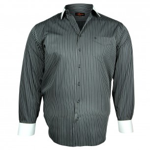 Chemise col blanc DANDY Doublissimo GT-Y2DB2